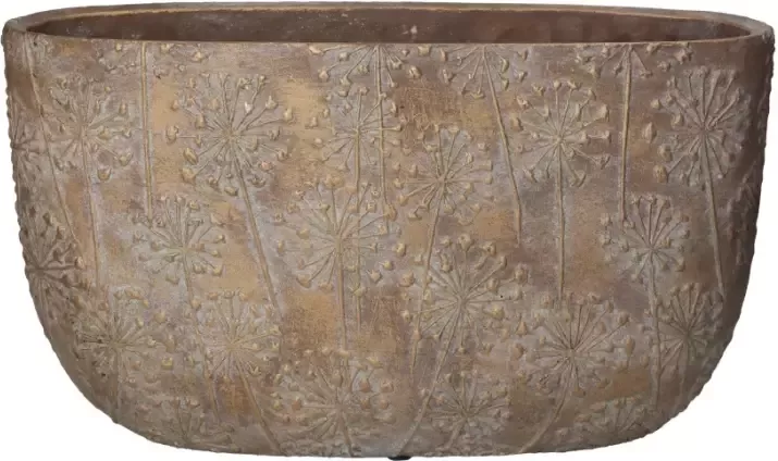 Woonexpress Paardenbloem