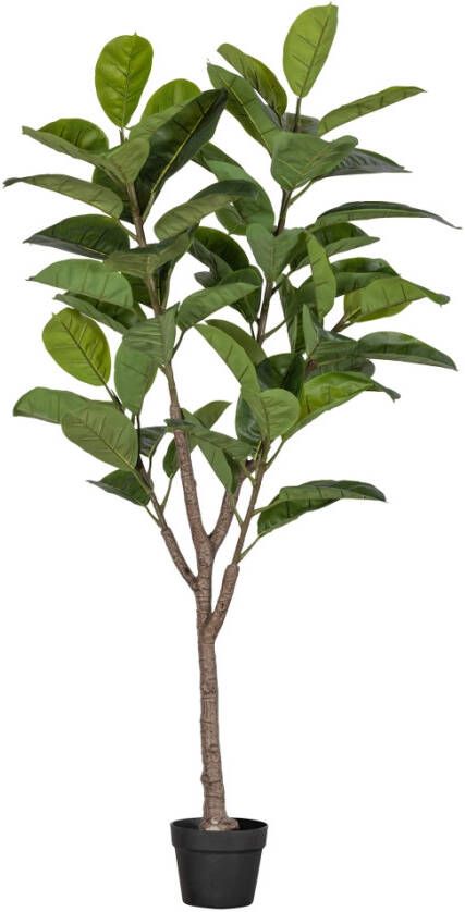 Woood Rubberboom Kunstplant 135 cm Plastic Groen 135x74x55 - Foto 1